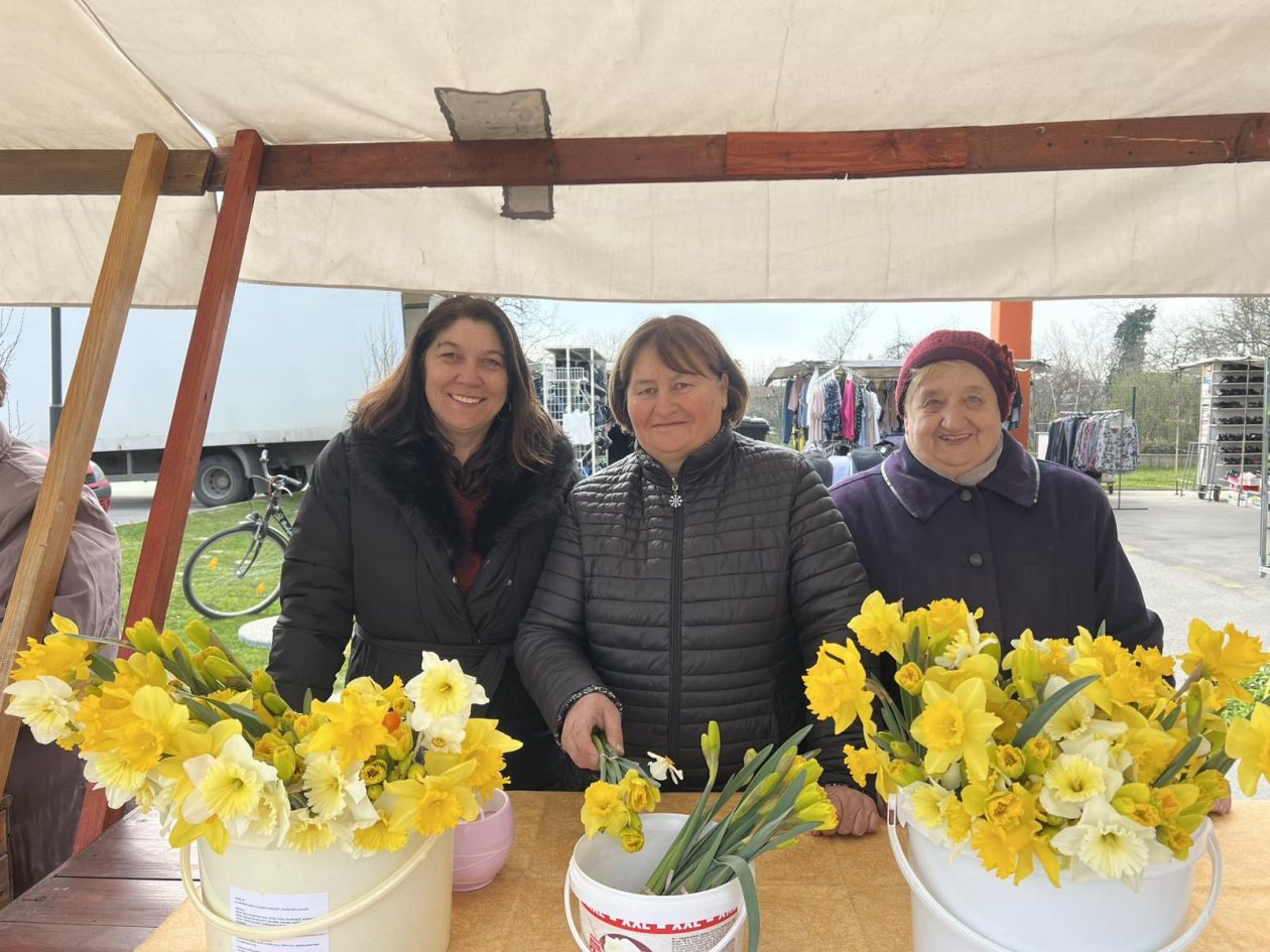 dan narcisa Kotoriba 2026 (2)