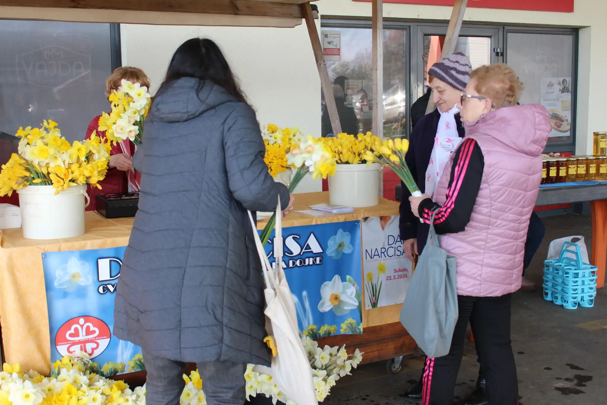 dan narcisa, kotoriba (1)