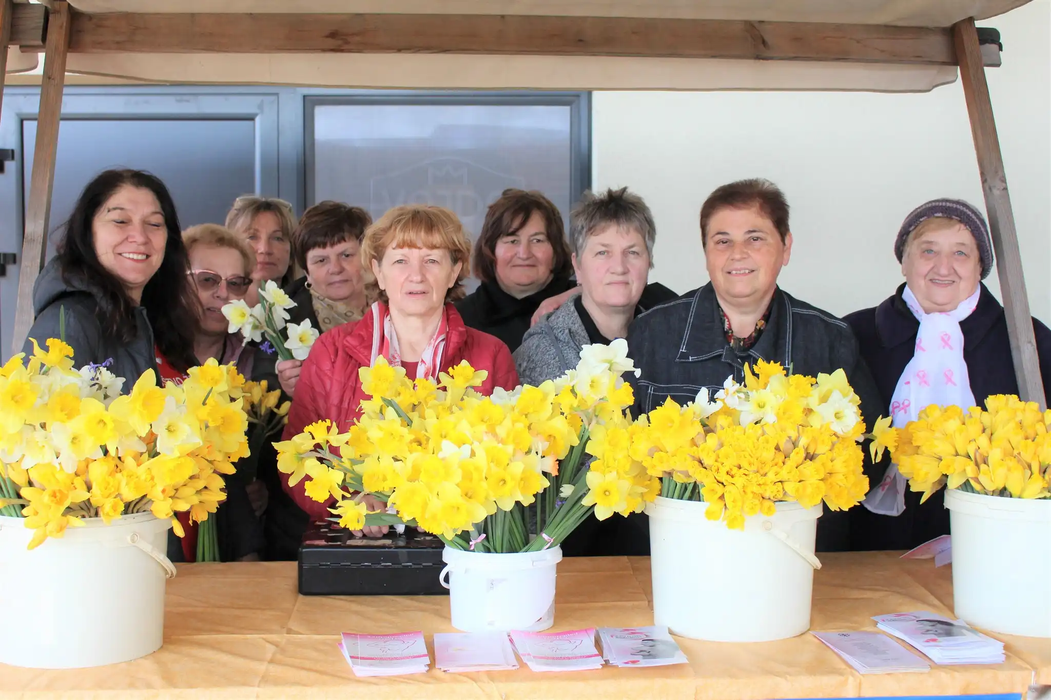 dan narcisa, kotoriba (2)