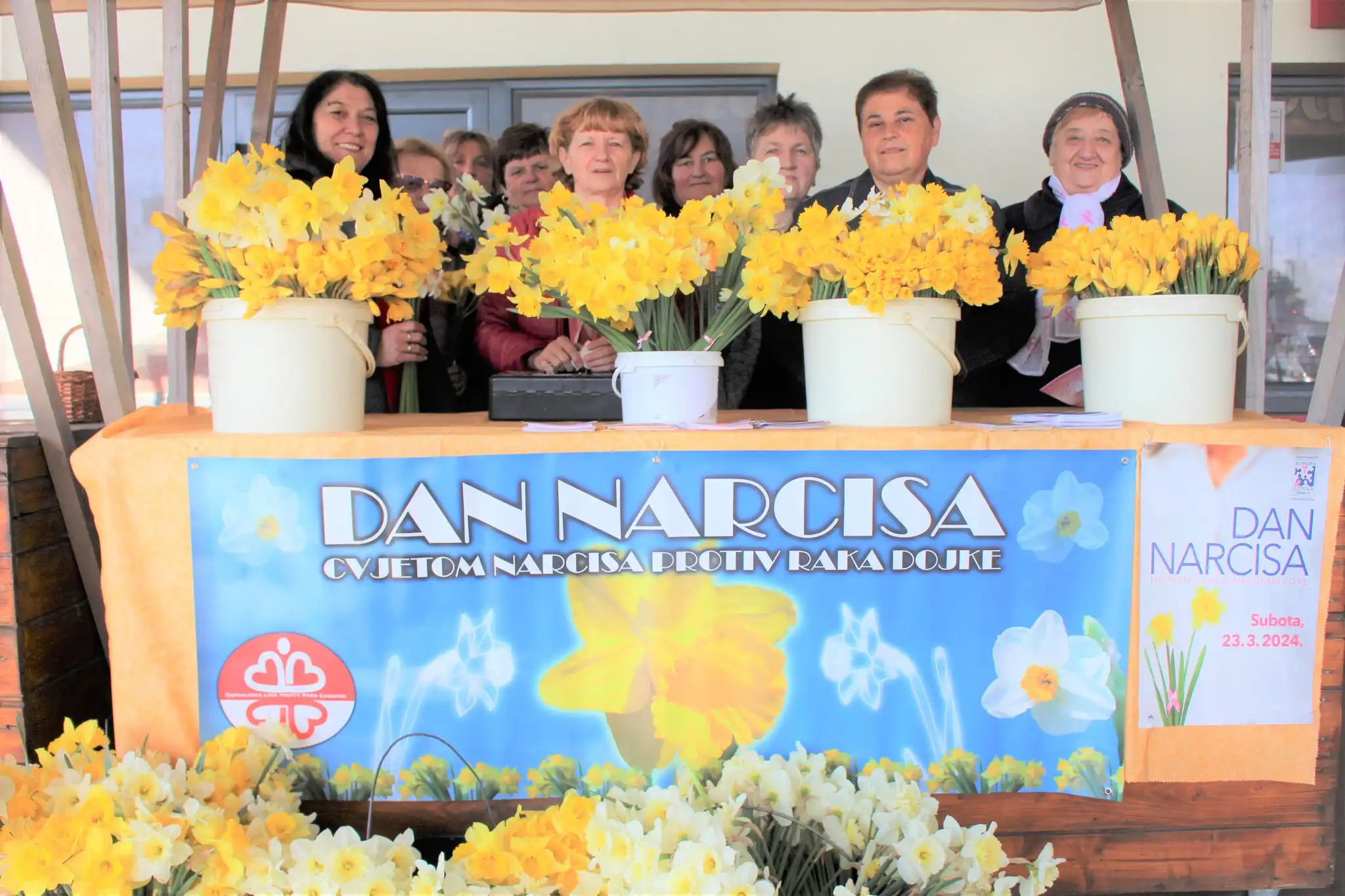 dan narcisa, kotoriba