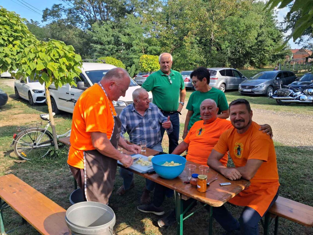 dan naselja mala subotica (12) dan naselja mala subotica (12)