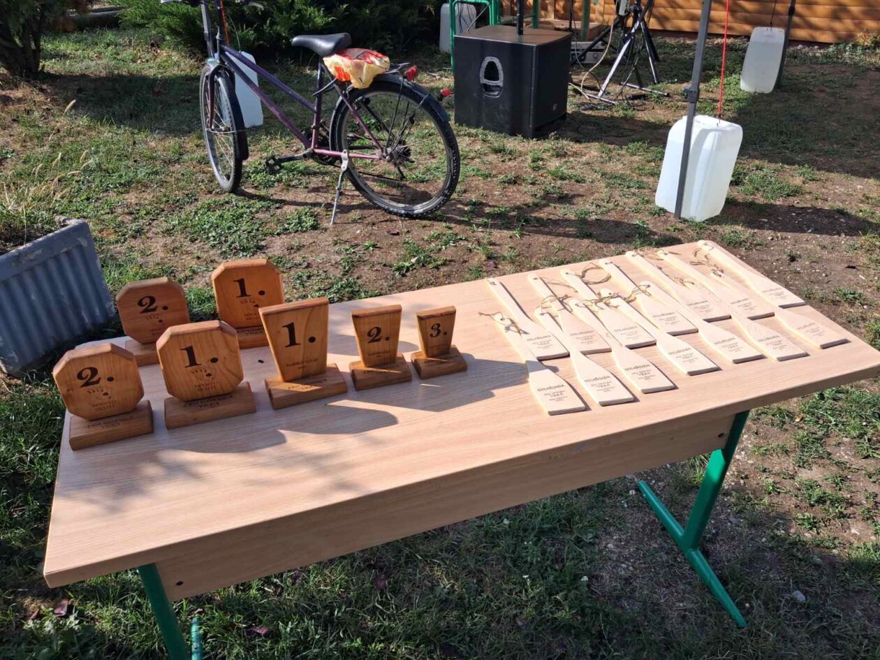 dan naselja mala subotica (16) dan naselja mala subotica (16)