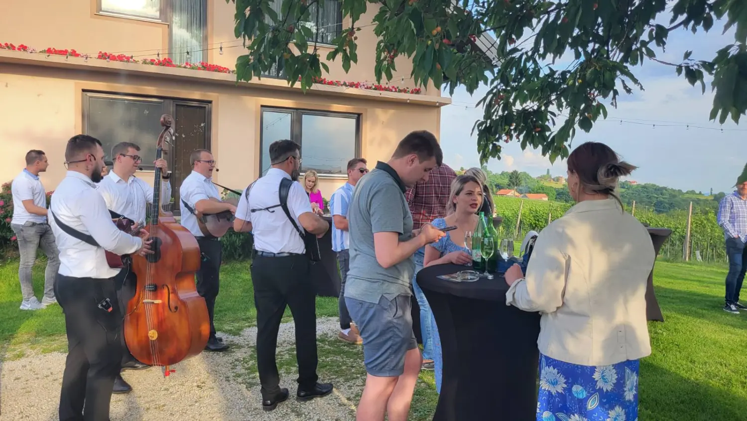 dan otvorenih podruma,vinarije (11)