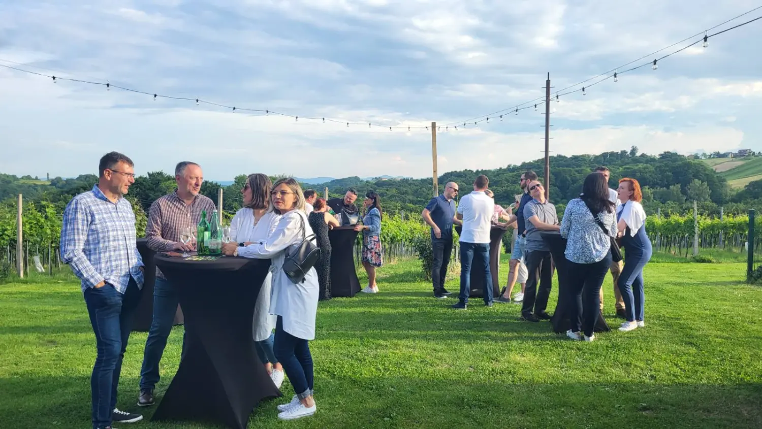 dan otvorenih podruma,vinarije (14)