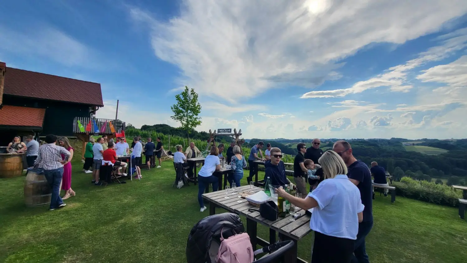 dan otvorenih podruma,vinarije (17)