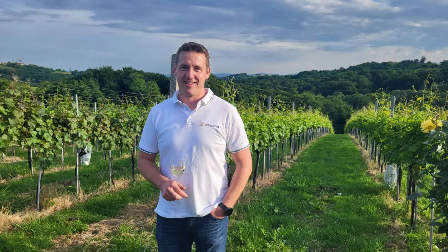 dan otvorenih podruma,vinarije (26)