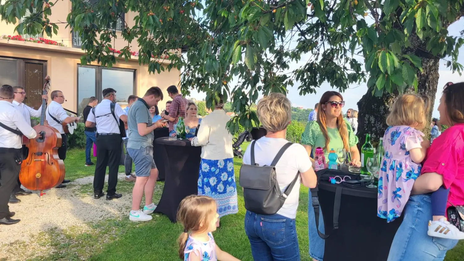 dan otvorenih podruma,vinarije (28)