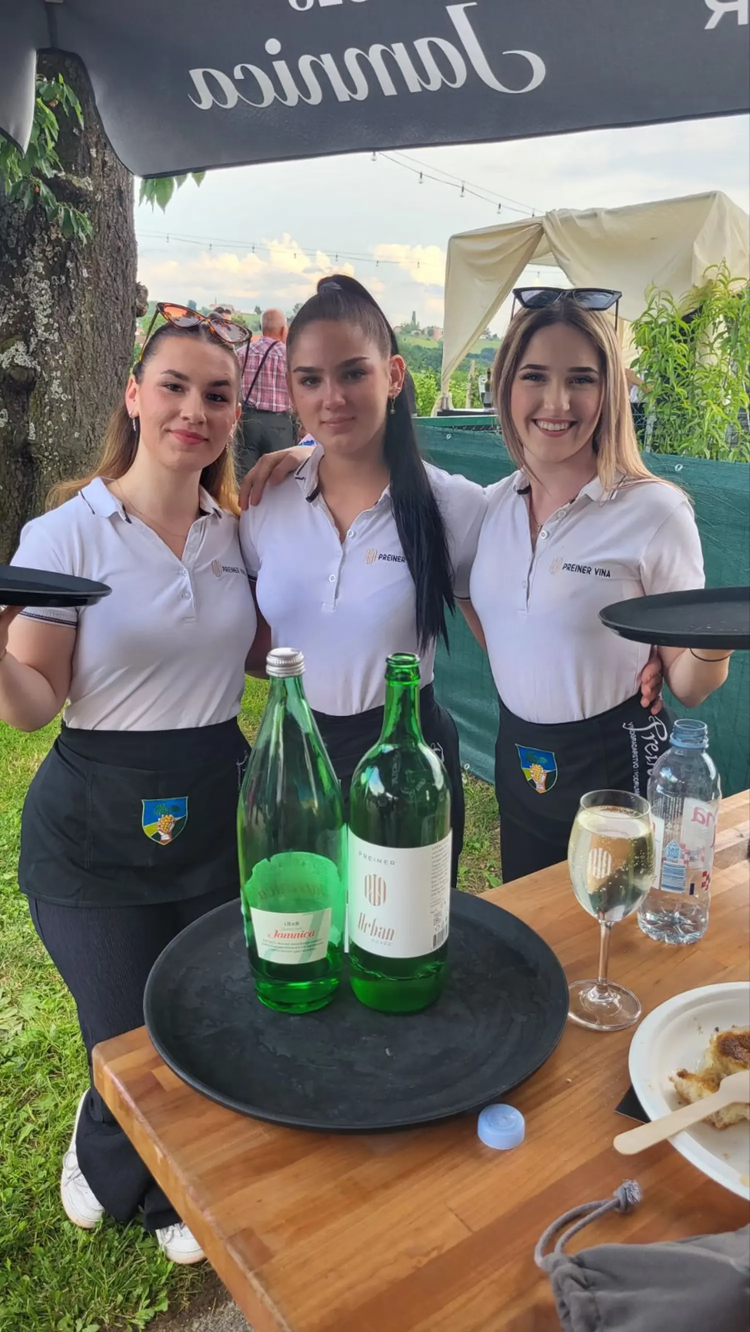 dan otvorenih podruma,vinarije (8)