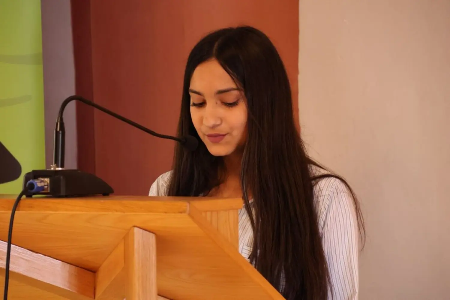 dan udomitelja 2024 (10) dan udomitelja 2024 (10)