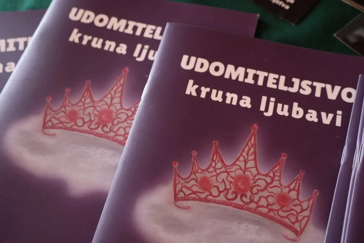 dan udomitelja 2024 (9) dan udomitelja 2024 (9)