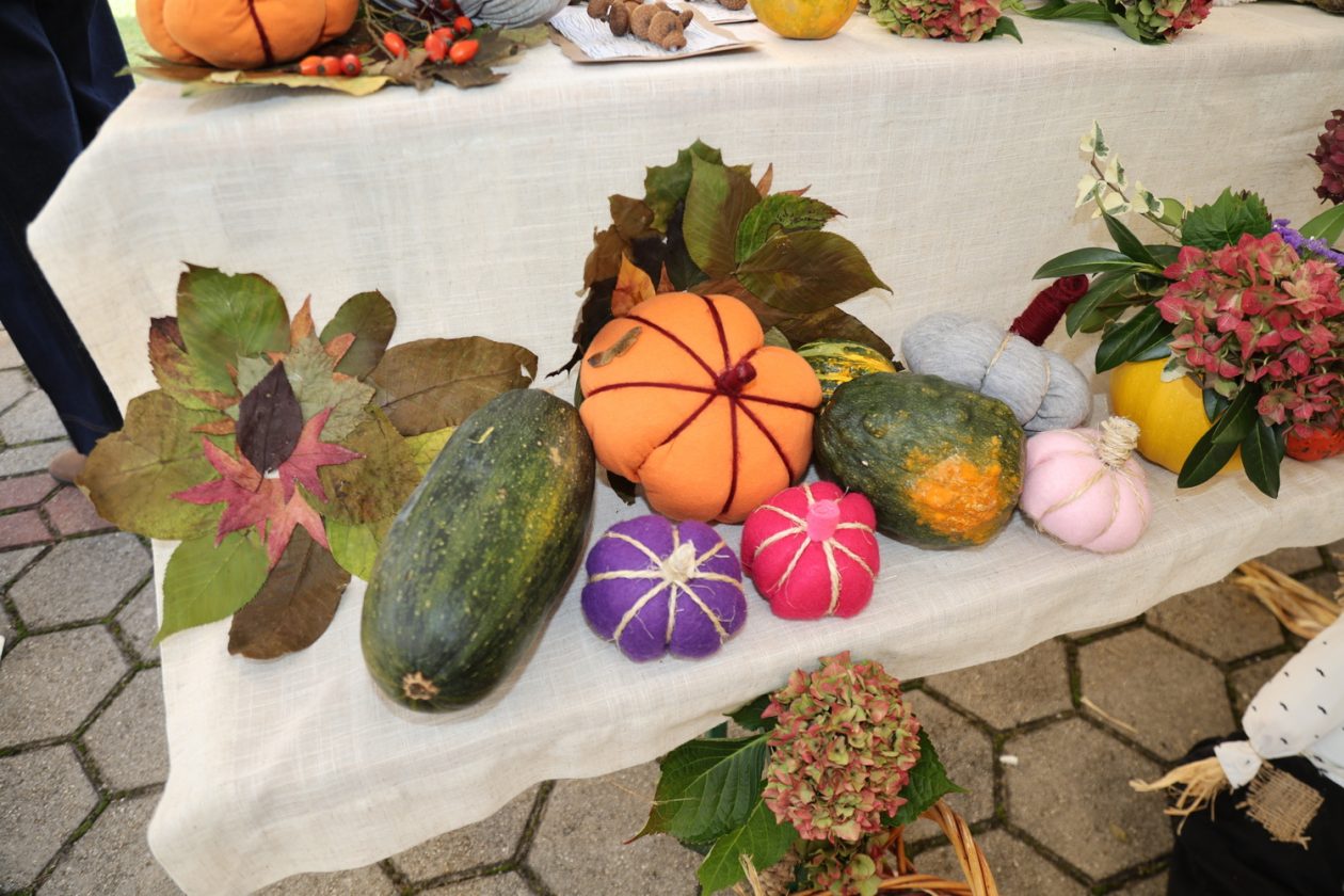 dan zahvale za plodove zemlje u Maloj Subotici23_resize