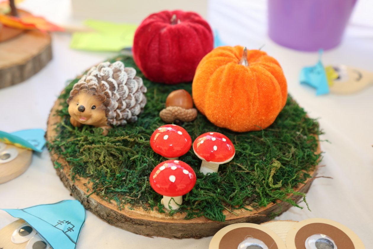 dan zahvale za plodove zemlje u Maloj Subotici27_resize