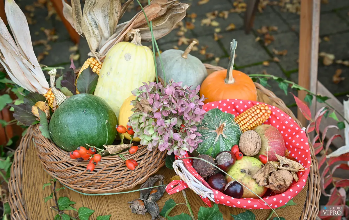 dani kruha i zahvale draškovec (9) dani kruha i zahvale draškovec (9)