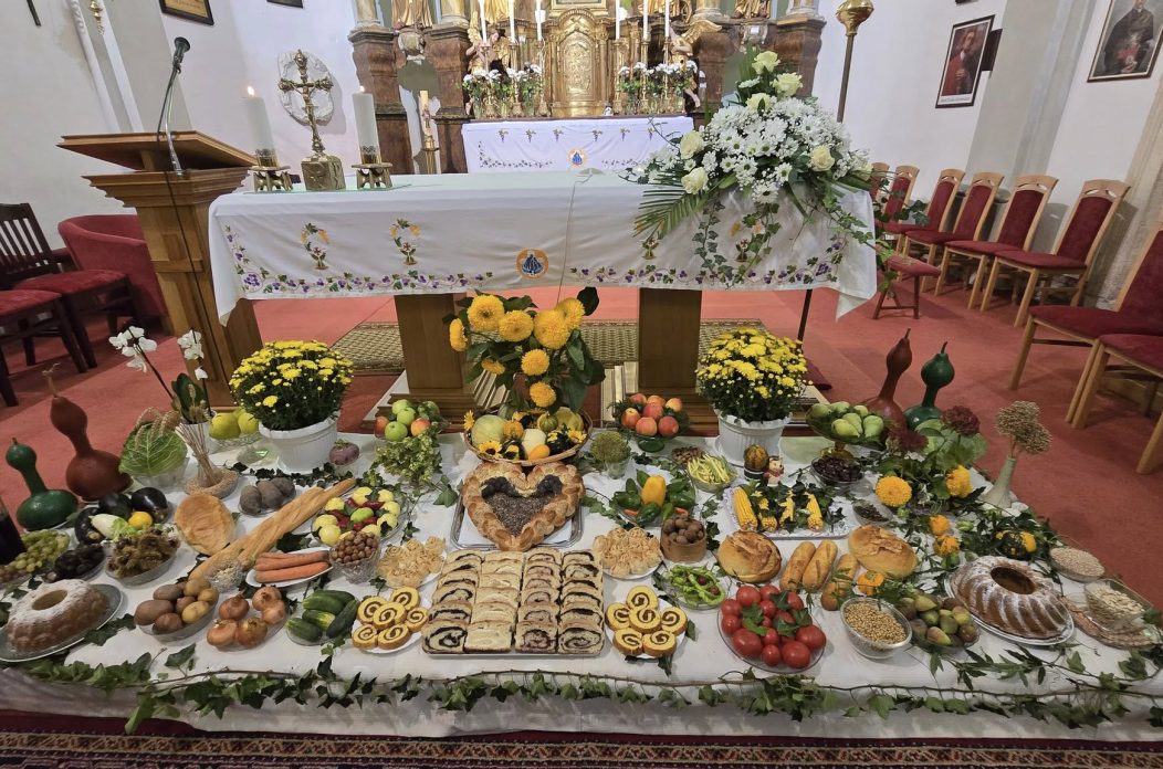 dani kruha zahvale Općina Donji Vidovec (6)