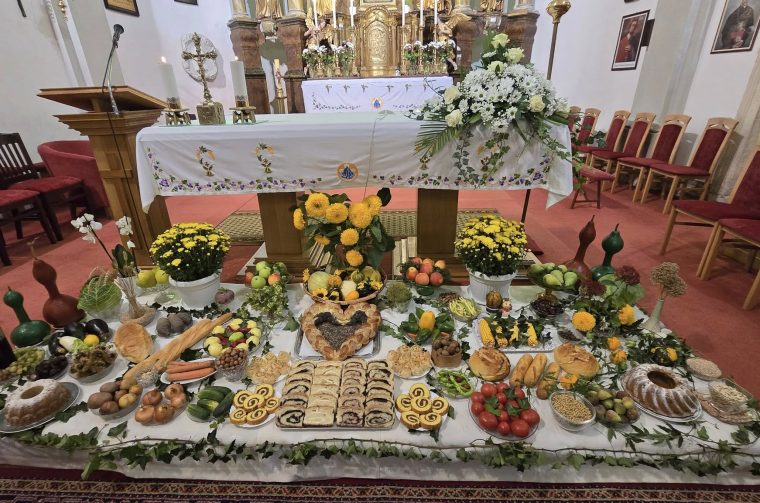 dani kruha zahvale Općina Donji Vidovec (6)