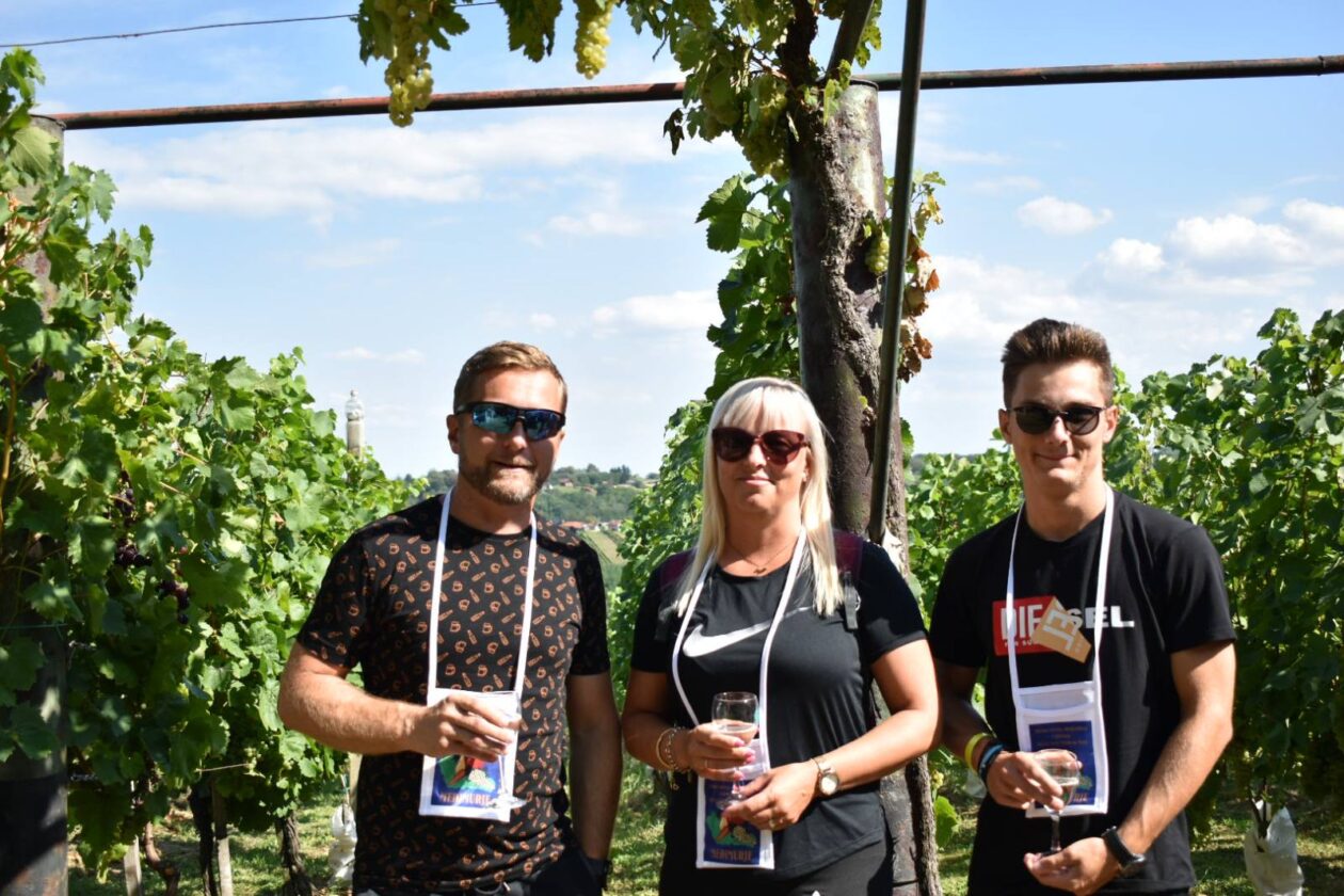 dani vina i jabuka 2025 (12)