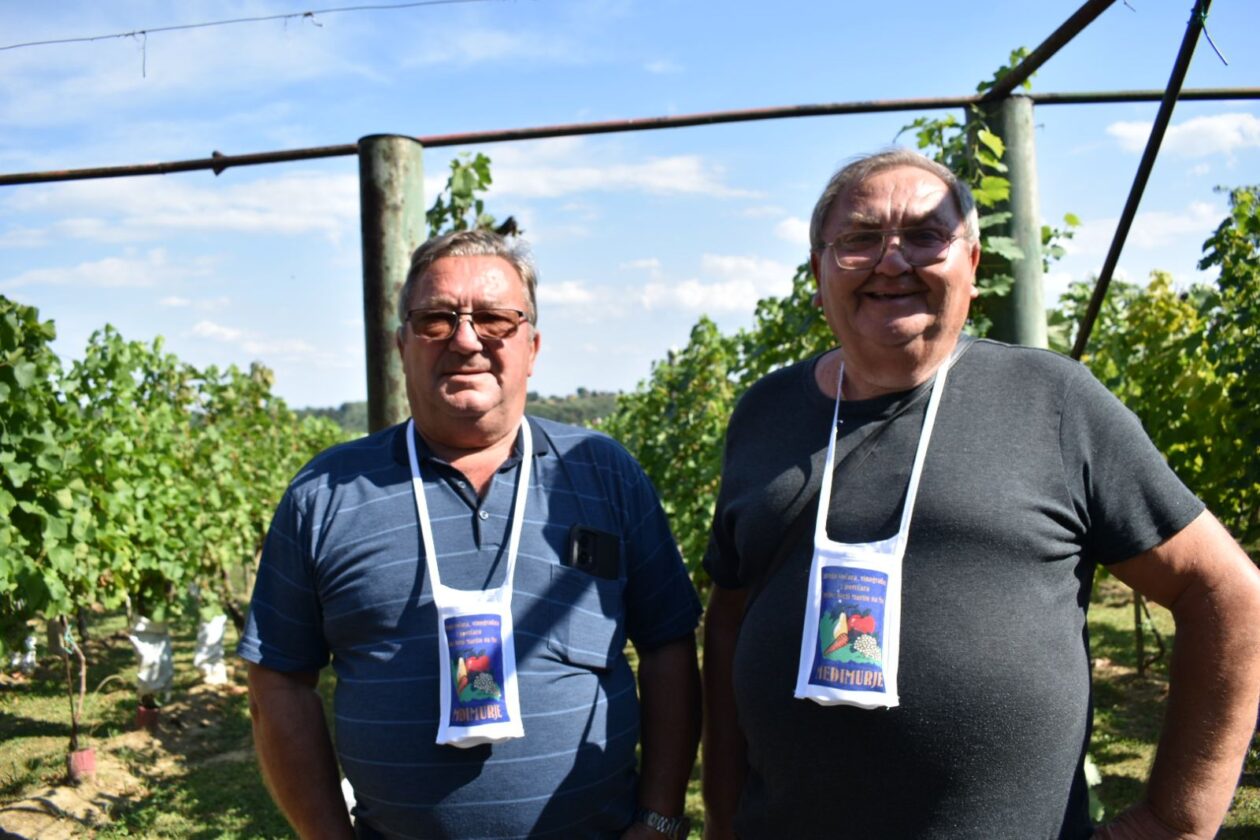 dani vina i jabuka 2025 (19)