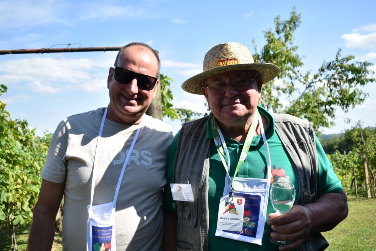 dani vina i jabuka 2025 (6)