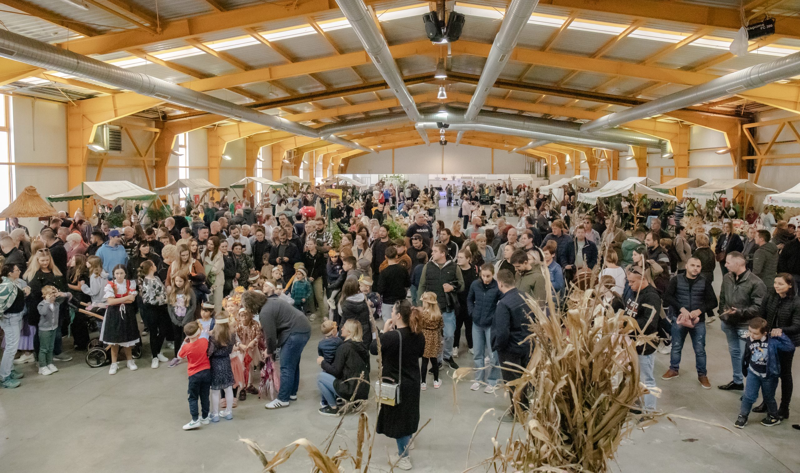 dani zahvalnosti nedelišće (2)