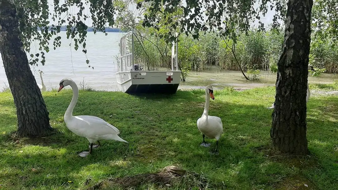 darivatelji krvi (4) darivatelji krvi (4)