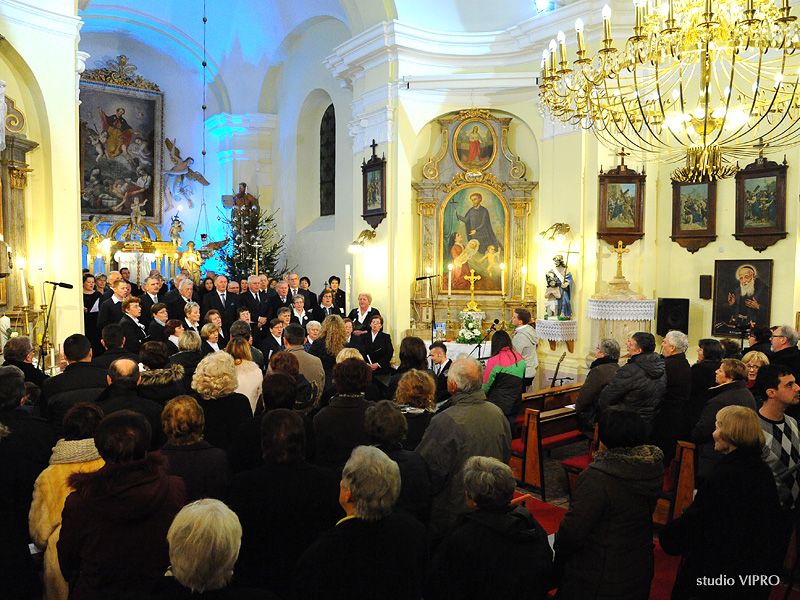 330314098dsc7334790565