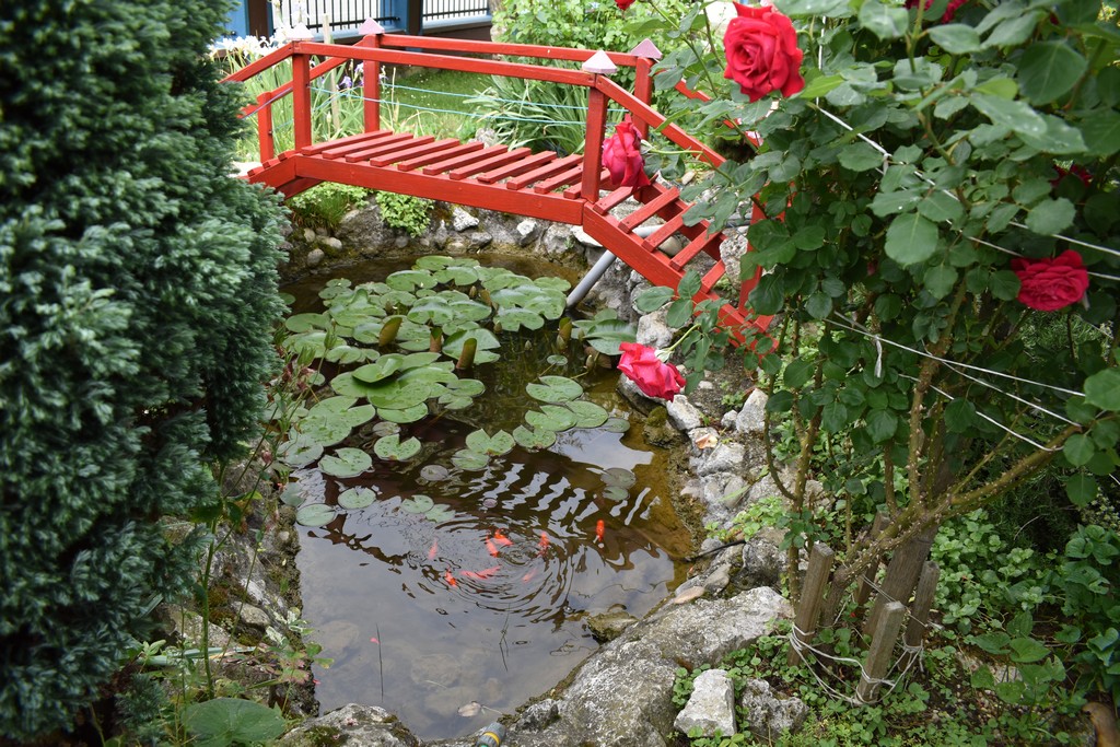 U RASKOŠNOM CVJETNJAKU ANE ŠAFARIĆ Miljenica mi je Ingrid Bergman