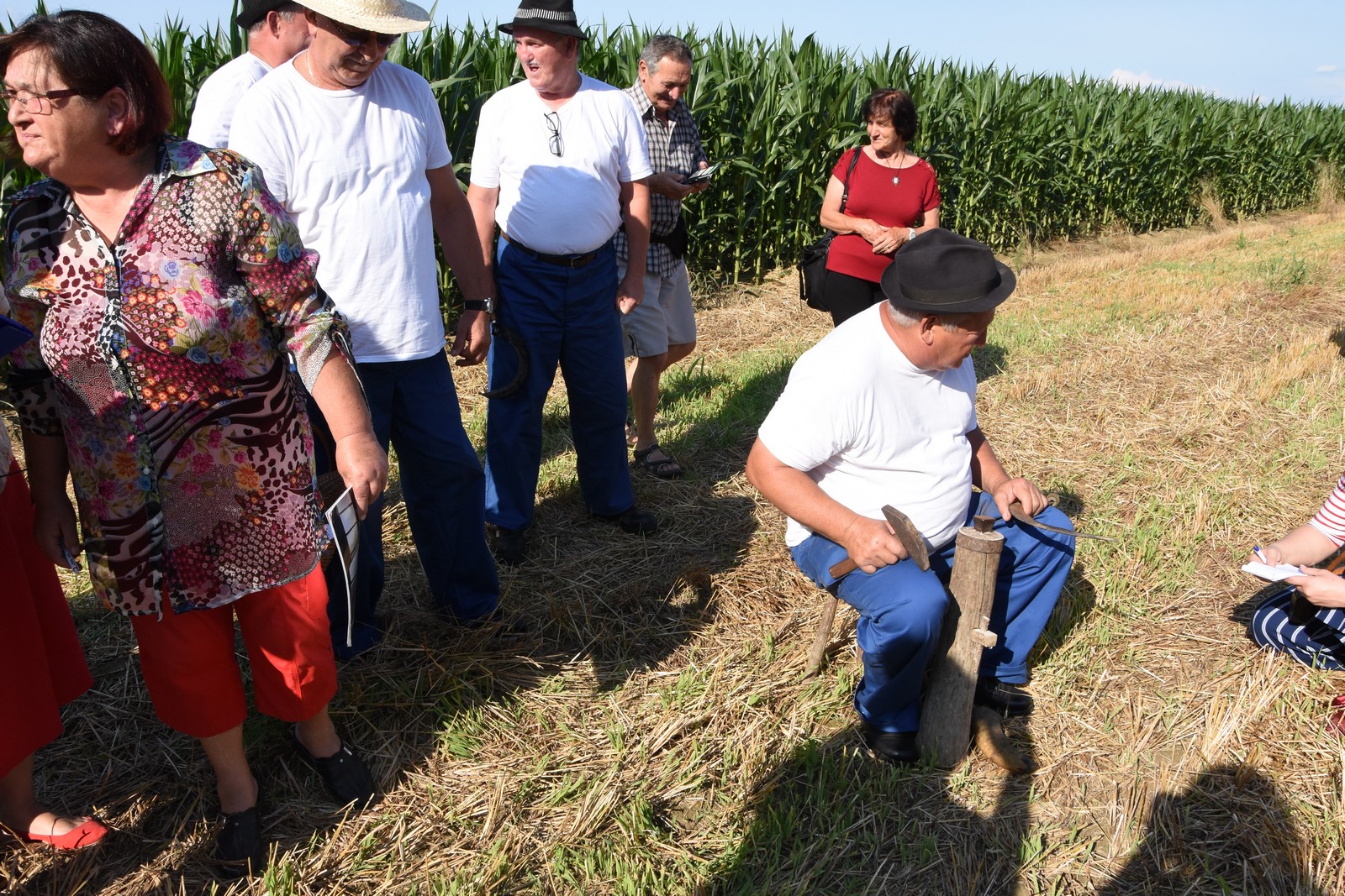 Mamičina žetva u Pušćinama