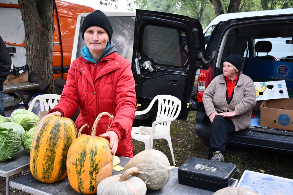 FOTO S dolaskom hladnijih dana povećan interes za kupnju drva za ogrjev