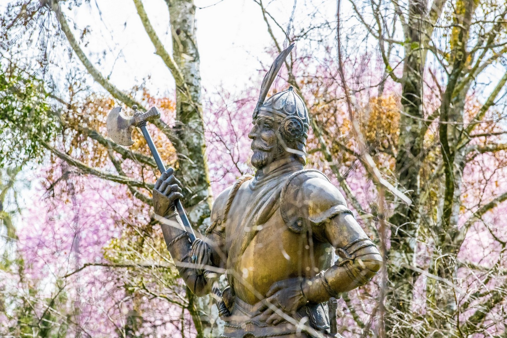 Proljetna cvjetna rapsodija u Međimurju iz objektiva Miroslave Novak Hranjec