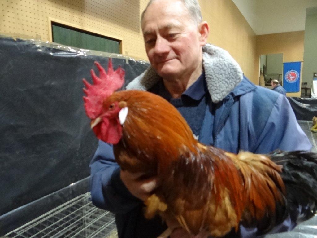 FOTO Održana izložba malih životinja u Kotoribi: Proglašeno čak 42 šampiona!