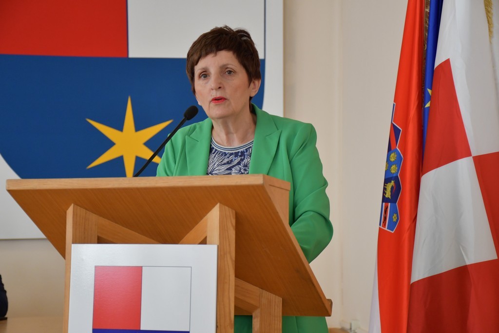 CENTRALIZACIJA BOLNICA Međimurska županija traži ocjenu ustavnosti zakona kojima osnivačka prava nad bolnicama preuzima država CENTRALIZACIJA BOLNICA Međimurska županija traži ocjenu ustavnosti zakona kojima osnivačka prava nad bolnicama preuzima država