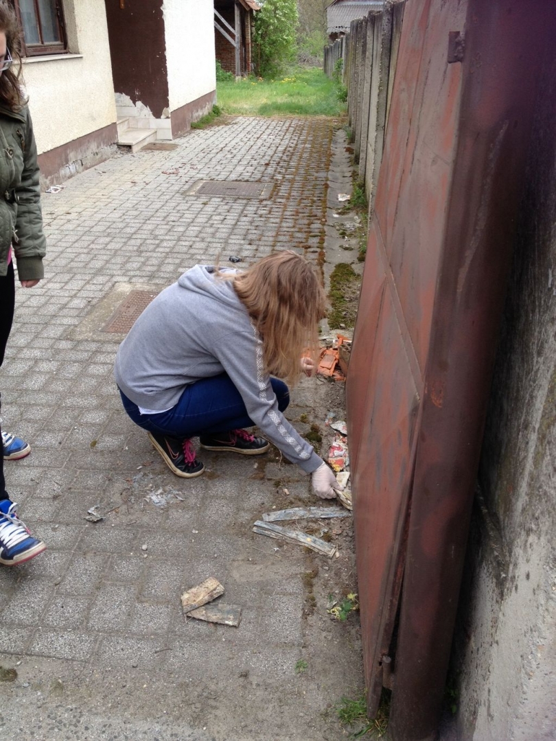 ciscenjedonjegkraljevca494456