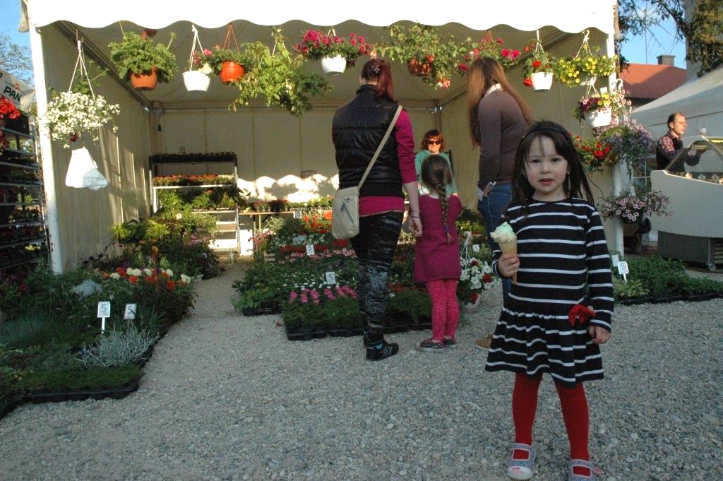 sajamcvijeca10800652