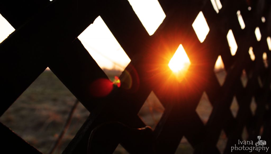 sunfekokrozreetke669661