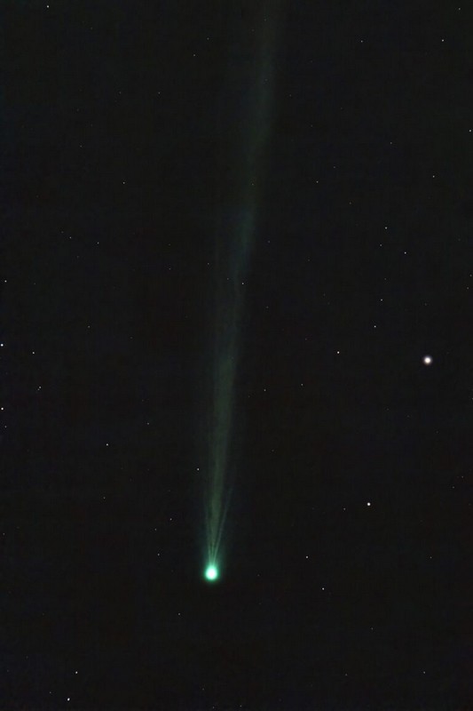 Dejan Vinković, Zoran Novak