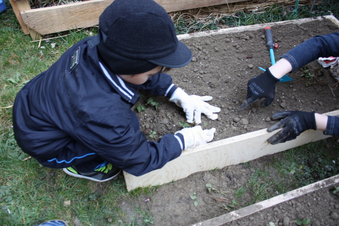 img4253resizekopija207153