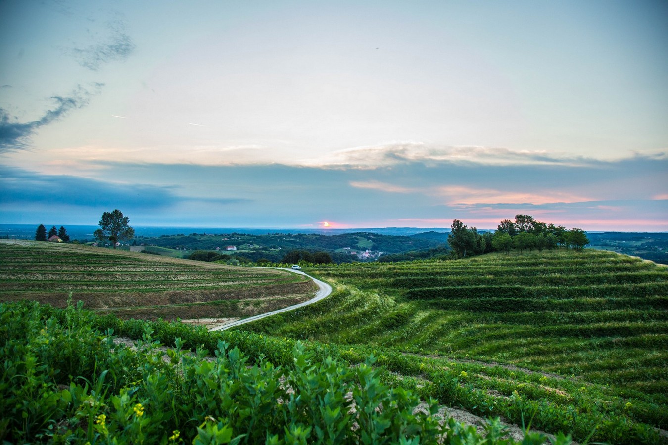 Doček ljeta na Mađerkinom bregu