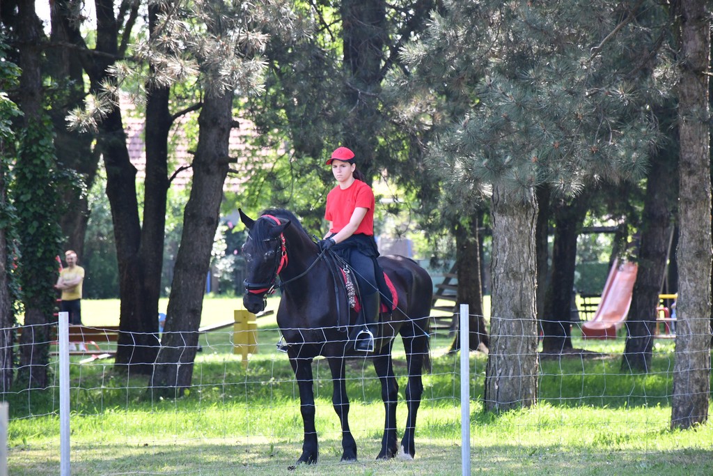VIDEO I FOTO Međunarodno konjičko druženje okupilo brojne uzgajivače konja iz SZ Hrvatske te Slovenije i Austrije