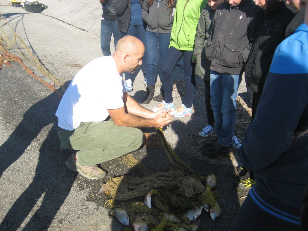 151112monitoring20969199