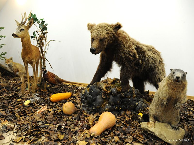 326313886dsc9043774986