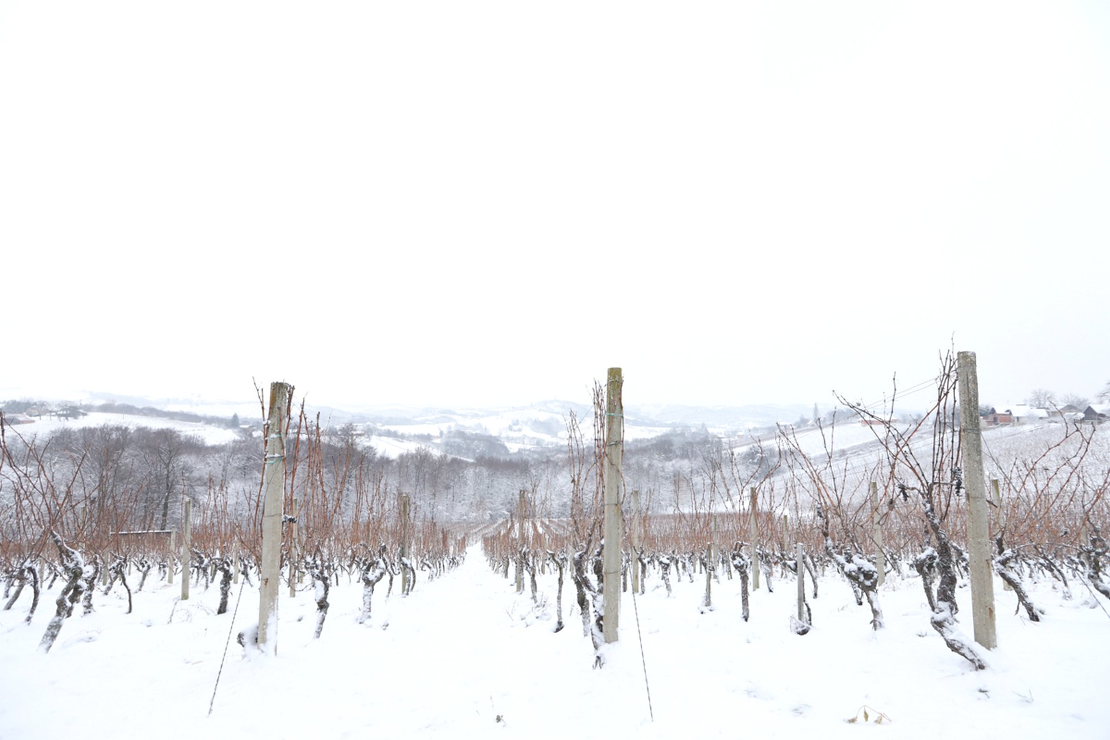 Mađerkin breg pokriven snijegom