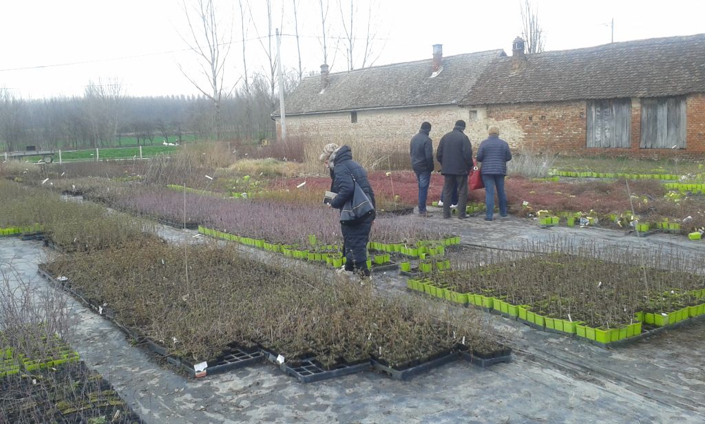 20160305154753131117