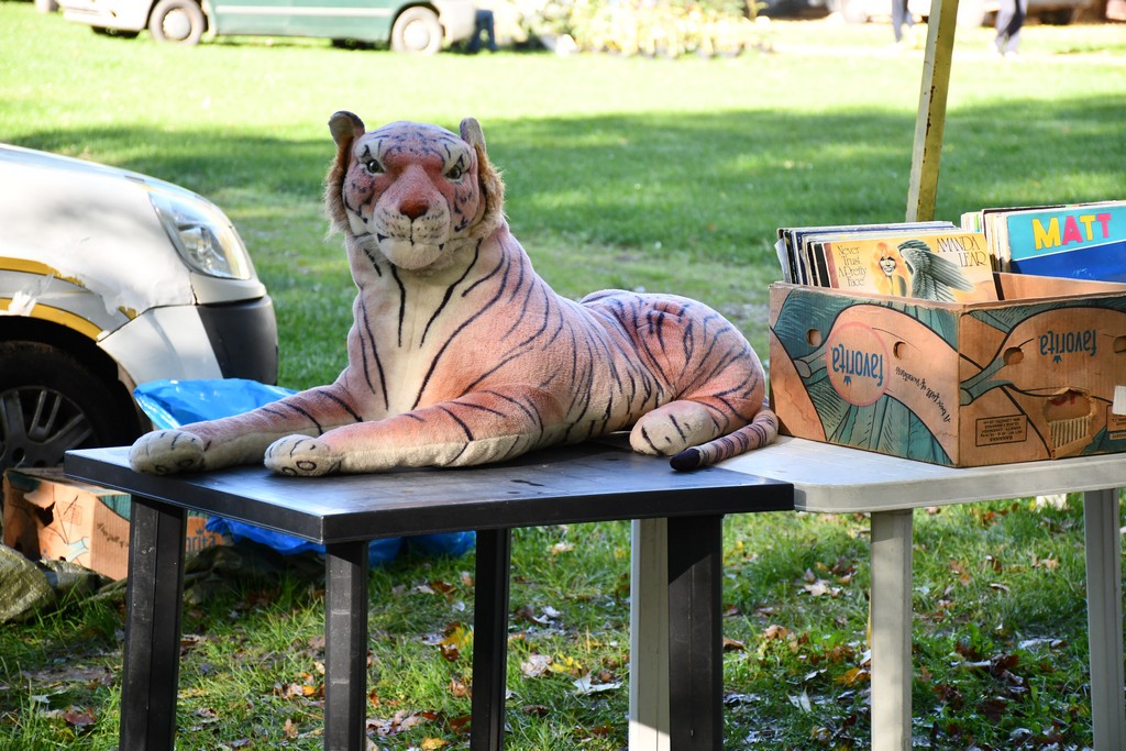 IMA SVEGA I SVAČEGA Čakovečki sajam srijedom (8.11.2023.)