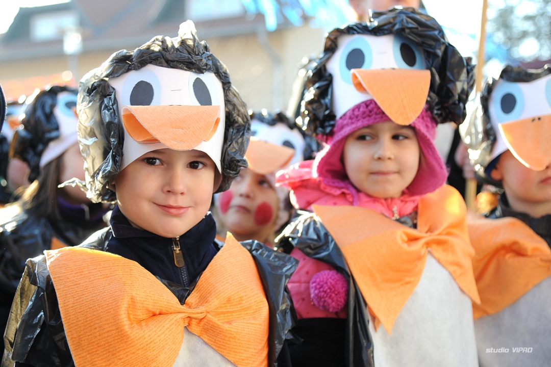 276411255dsc6865444605