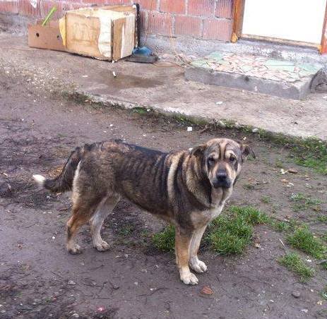 1230870611861307514016047766495