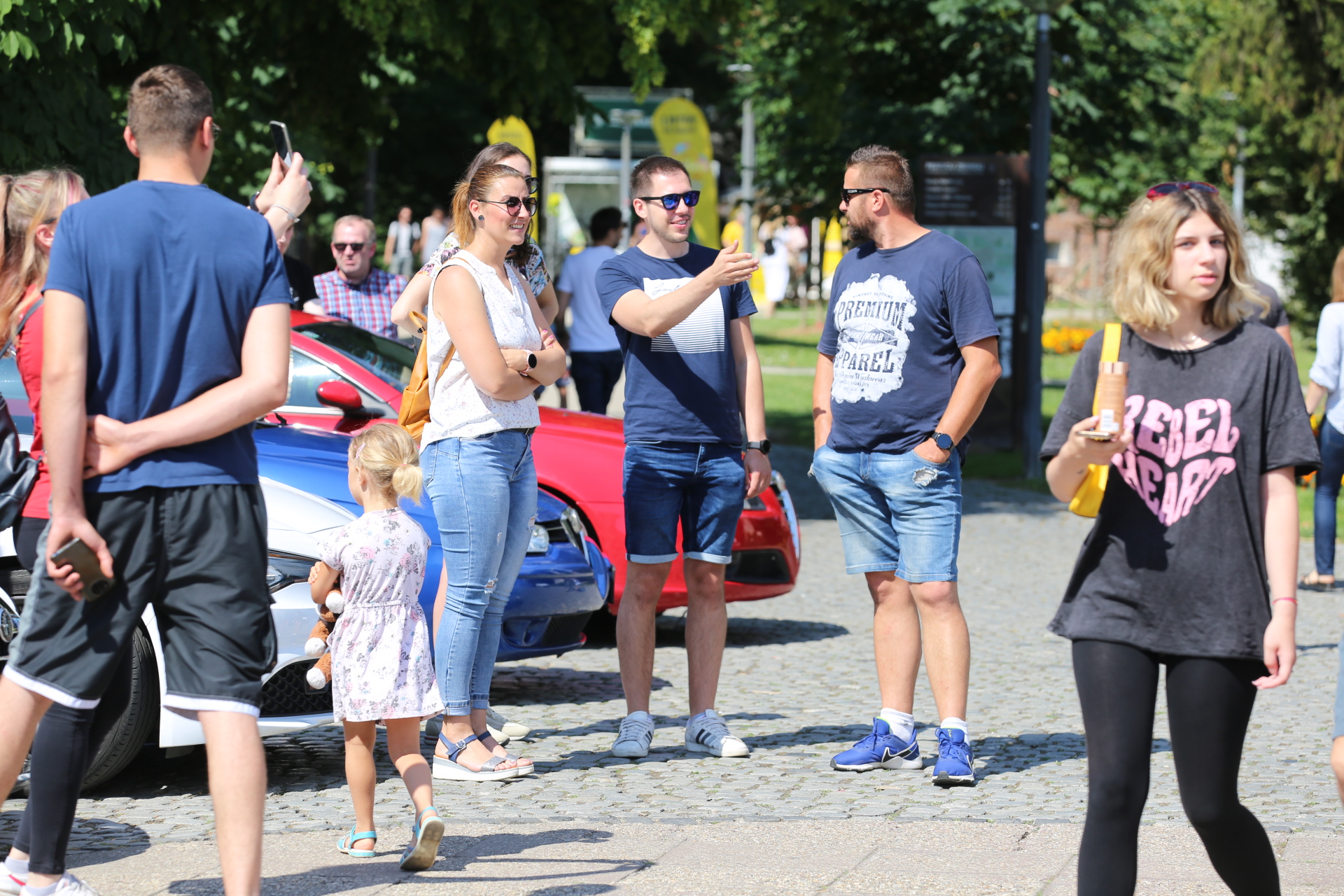 Susret ljubitelja Alfe u Čakovcu