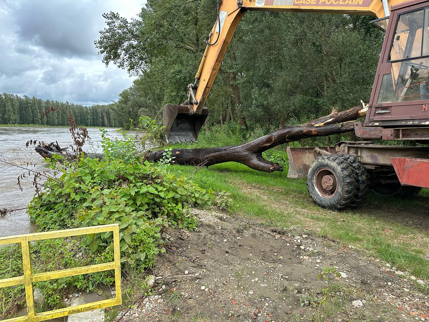 PODTUREN Ponovno problemi s Murom, veliko drvo prijetilo skeli