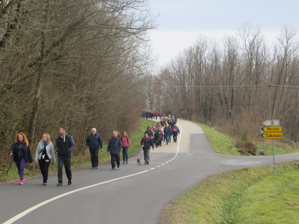 vincekovpohod8477644