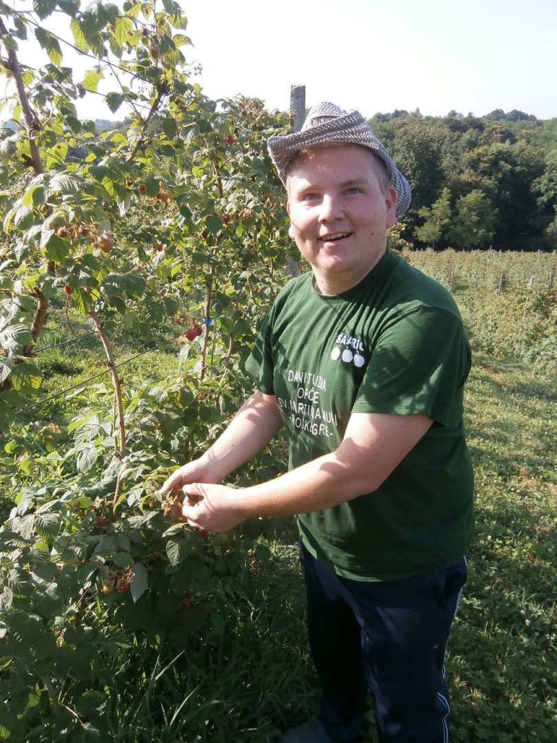 berbamalina201515567624