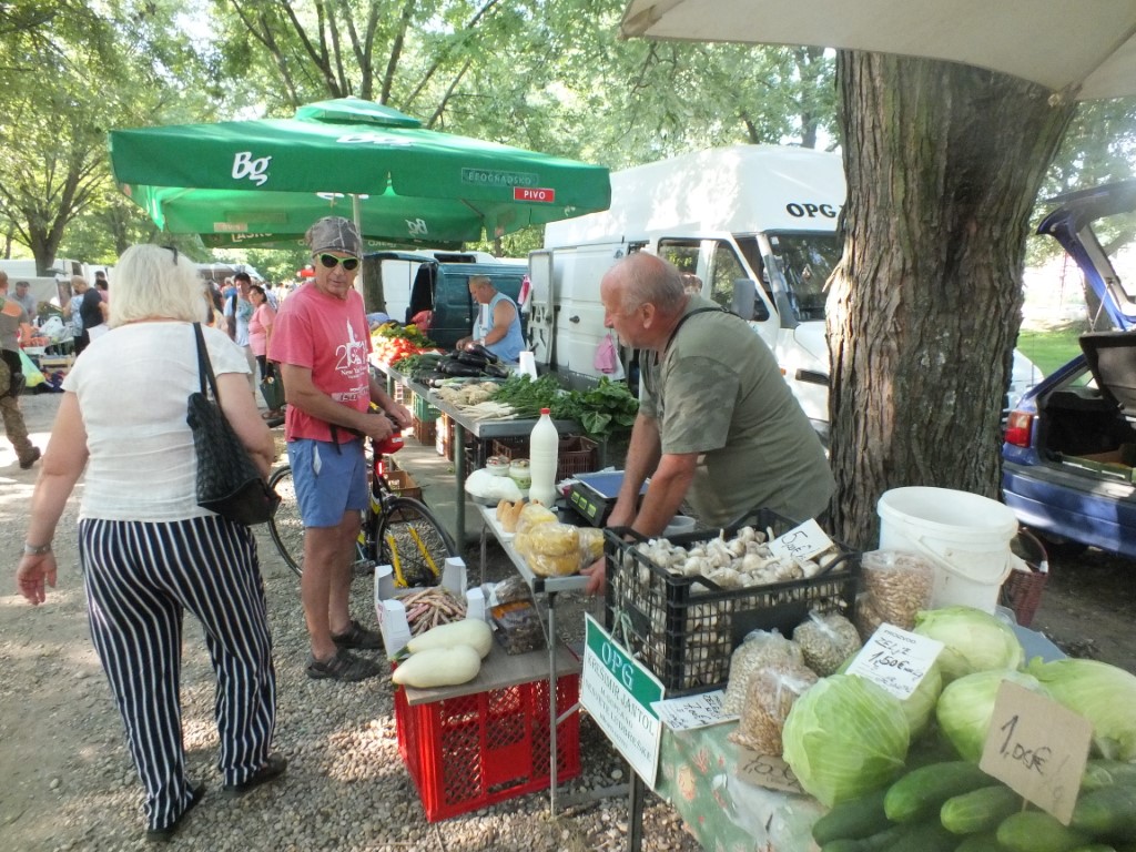 Image 5810847 (auto)